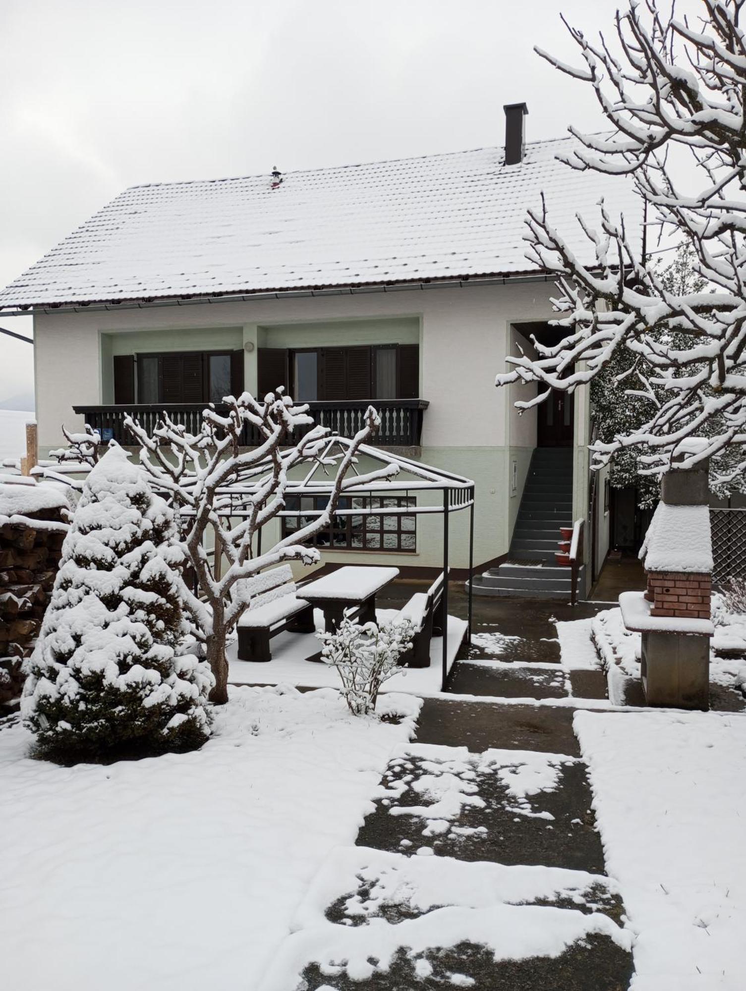 Guesthouse Pavlicic Drežnik Grad Exterior foto